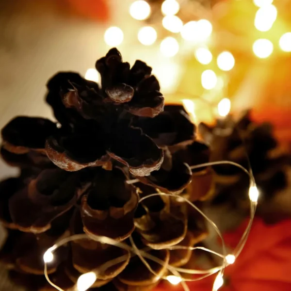 Weihnachtsbeleuchtung^DecoWoerner LED Batterie-Draht-Lichterkette Für Außen, 10 M silber