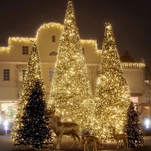 Weihnachtsbeleuchtung^DecoWoerner LED Kupplungslichterkette Für Außen IP67, 24 M Ohne Zuleitung