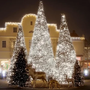 Weihnachtsbeleuchtung^DecoWoerner LED Kupplungslichterkette Für Außen IP67, 24 M Ohne Zuleitung
