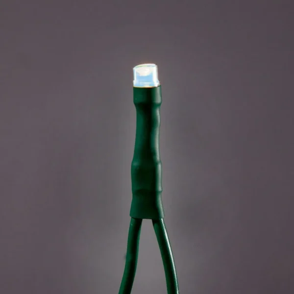 Weihnachtsbeleuchtung^DecoWoerner LED Kupplungslichterkette Für Innen, 24 M Ohne Zuleitung, Grün