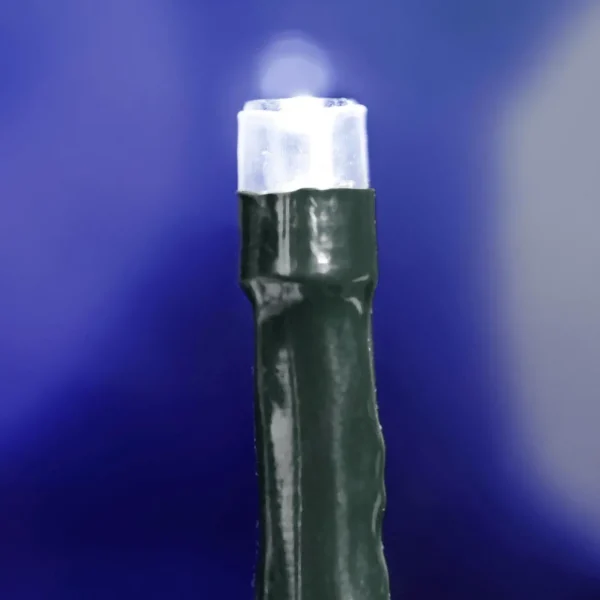 Weihnachtsbeleuchtung^DecoWoerner LED Kupplungslichterkette Für Innen, 24 M Ohne Zuleitung, Grün, Kaltweiß