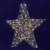 Weihnachtssterne | Weihnachtsbeleuchtung^DecoWoerner LED-Leuchtstern, 58 Cm Ø silber