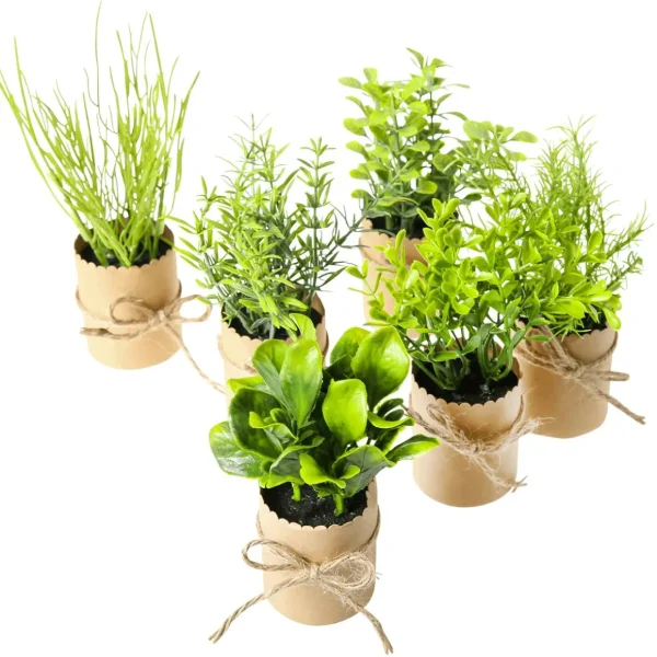 Zimmerpflanzen | Gemüse & Kräuter^DecoWoerner Mini Kräuter Im Topf Set à 6 Stück grün