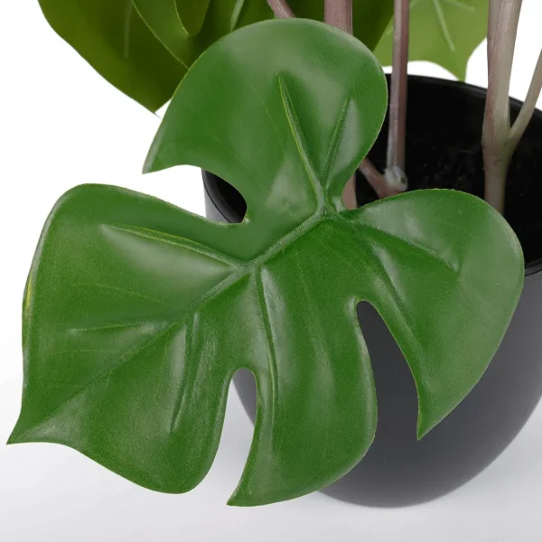 Grünpflanzen | Zimmerpflanzen^DecoWoerner Monstera Im Schwarzem Topf grün