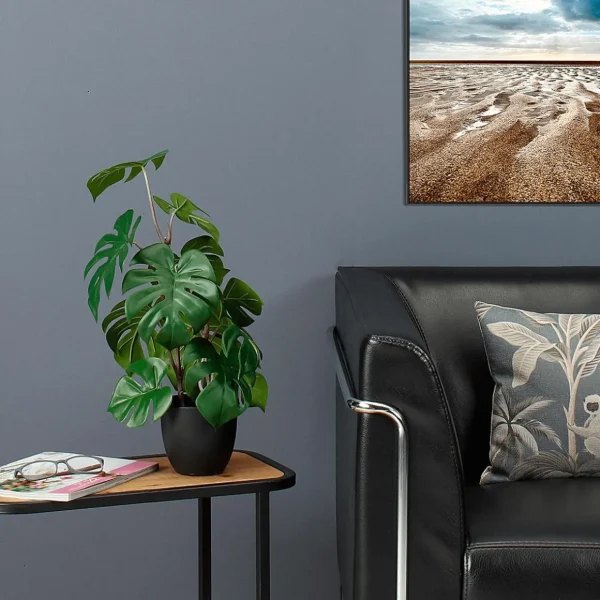 Grünpflanzen | Zimmerpflanzen^DecoWoerner Monstera Im Schwarzem Topf grün