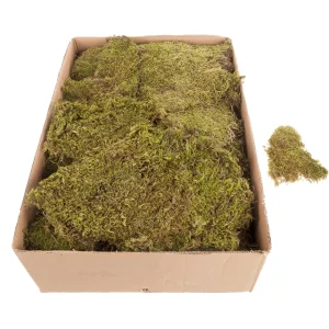 Naturdeko | Kunstrasen & -Moos^DecoWoerner Moos-Matten, Moos-Platten 2 Kg grün