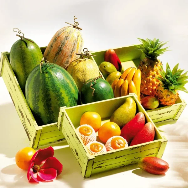 Obst & Früchte^DecoWoerner n Im Netz Lebensmittel-Attrappe, Pack à 3 Stück orange
