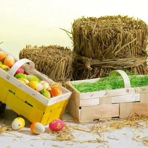 Streudeko^DecoWoerner Ostergras, 50 G grün