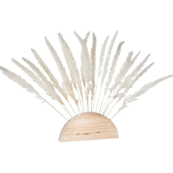 Naturdeko | Herbstdeko^DecoWoerner Pampasgras-Wedel Zum Stecken 45 Cm weiß