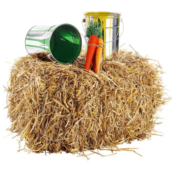 Osterdeko^DecoWoerner Papier Karottenbund 3 Stück 29 Cm Hoch orange