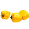 Gemüse & Kräuter^DecoWoerner Paprika Lebensmittel-Attrappe, Pack à 3 Stück gelb