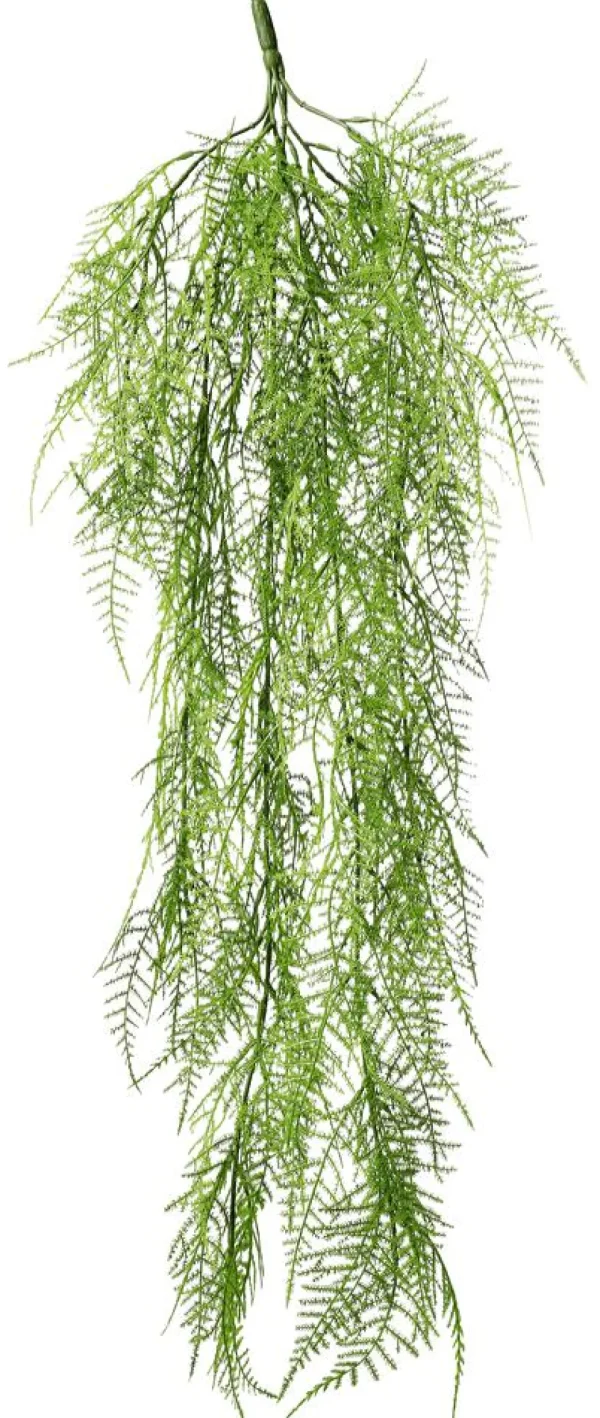 Grünpflanzen | Hängepflanzen^DecoWoerner Pflanzenhänger Schleier Zierspargel 80 Cm grün