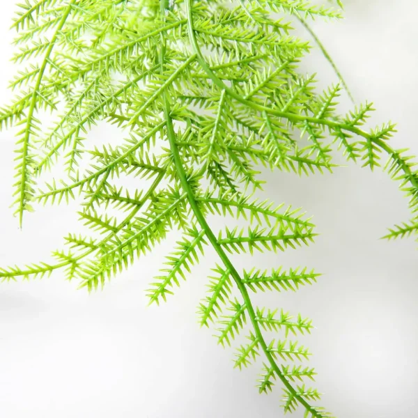 Grünpflanzen | Hängepflanzen^DecoWoerner Pflanzenhänger Schleier Zierspargel 80 Cm grün