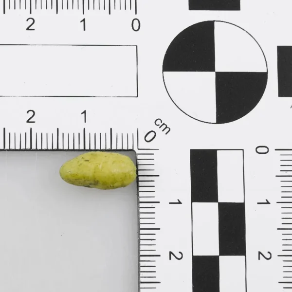 Obst & Früchte^DecoWoerner Pistazien-Lebensmittel-Attrappen 50 G Beutel grün