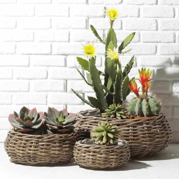 Pflanzengefäße & Dekorationshilfen^DecoWoerner Rattan-Pflanzkorb-Set Rund, 3-teilig, Ø25cm X 12cm, Ø36cm X 14cm, Ø45cm X 22cm braun
