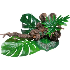 Naturdeko^DecoWoerner Rebbaum Natur braun