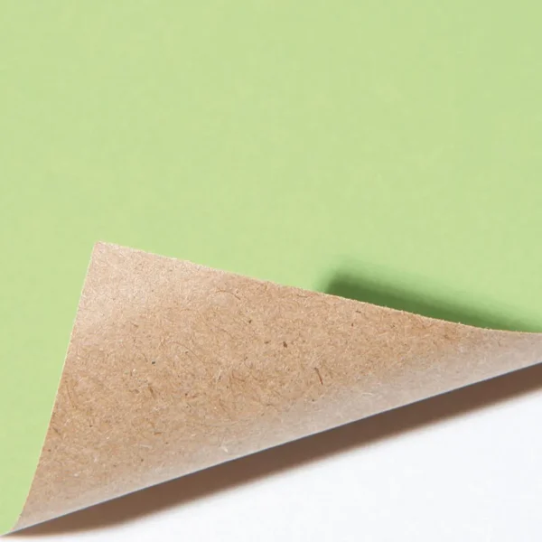 Geschenkpapier | Go Green - Nachhaltige Geschenkverpackung^DecoWoerner Recycelte Geschenkpapier-Rolle, 50m, Blass grün