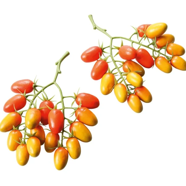 Gemüse & Kräuter^DecoWoerner Roma-Rispentomaten Lebensmittel-Attrappe, Pack à 2 Stück orange