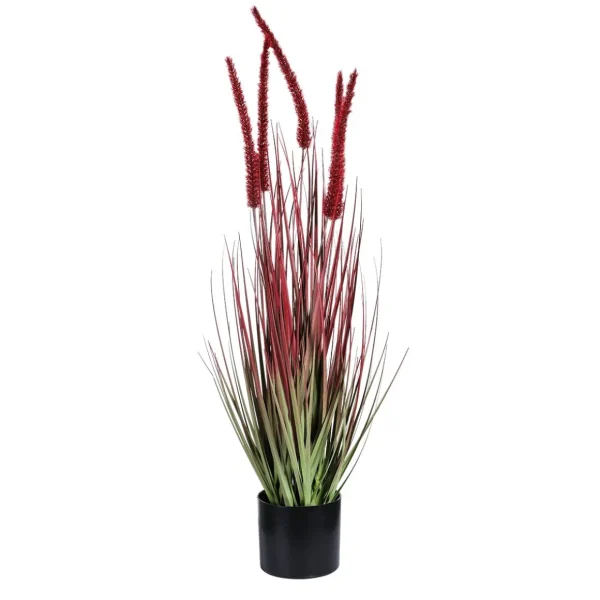 Dekogras^DecoWoerner es Deko-Federborstengras Im Schwarzen Topf 70 Cm rot