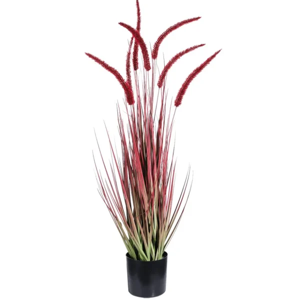 Dekogras^DecoWoerner es Deko-Federborstengras Im Schwarzen Topf 90 Cm rot