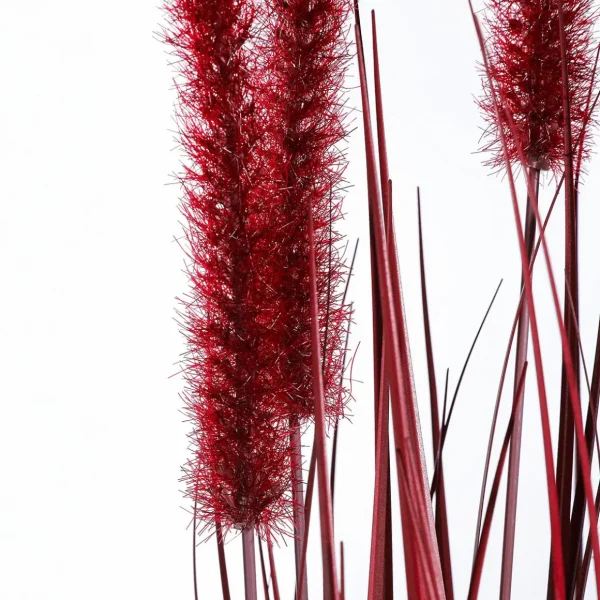 Dekogras^DecoWoerner es Deko-Federborstengras Im Schwarzen Topf 70 Cm rot