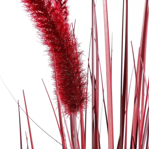 Dekogras^DecoWoerner es Deko-Federborstengras Im Schwarzen Topf 90 Cm rot