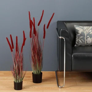 Dekogras^DecoWoerner es Deko-Federborstengras Im Schwarzen Topf 70 Cm rot