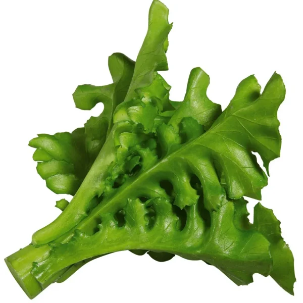 Gemüse & Kräuter^DecoWoerner Rucola Salat Lebensmittel-Attrappe, Pack à 2 Stück grün