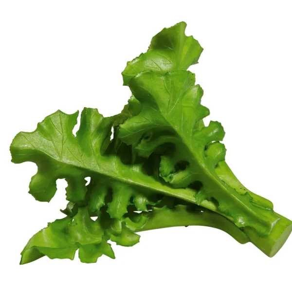 Gemüse & Kräuter^DecoWoerner Rucola Salat Lebensmittel-Attrappe, Pack à 2 Stück grün