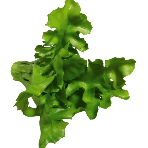 Gemüse & Kräuter^DecoWoerner Rucola Salat Lebensmittel-Attrappe, Pack à 2 Stück grün