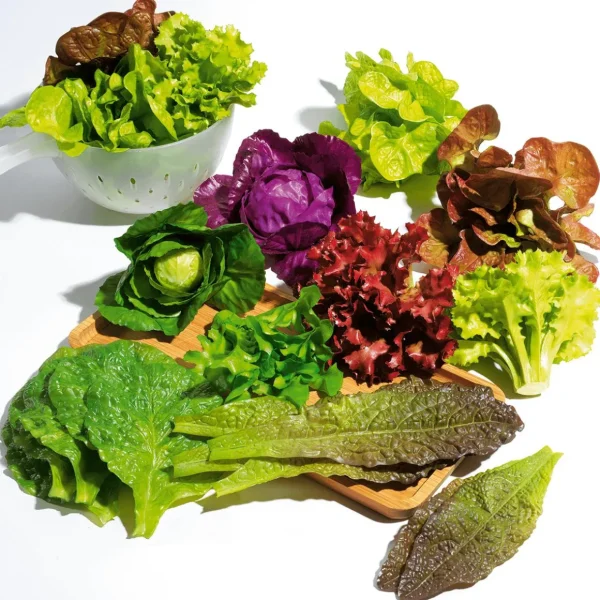 Gemüse & Kräuter^DecoWoerner Rucola Salat Lebensmittel-Attrappe, Pack à 2 Stück grün