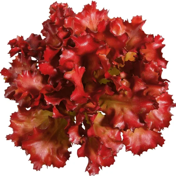 Gemüse & Kräuter^DecoWoerner Salat Lollo Rosso Lebensmittel-Attrappe, 16 Cm Ø rot
