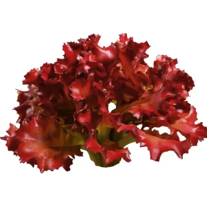 Gemüse & Kräuter^DecoWoerner Salat Lollo Rosso Lebensmittel-Attrappe, 16 Cm Ø rot