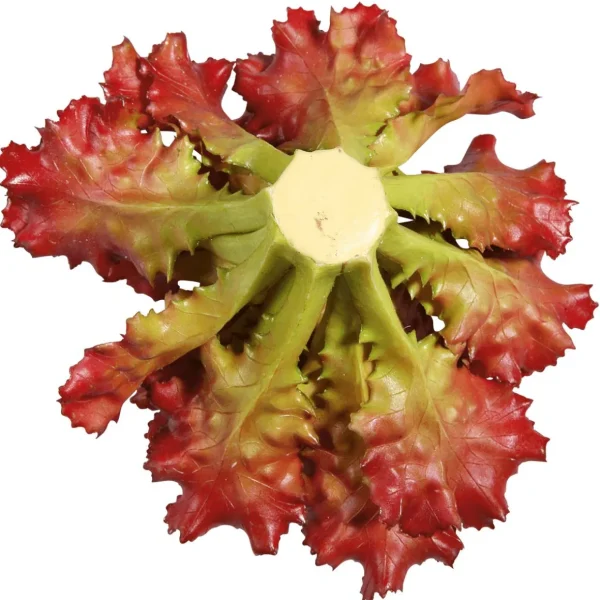 Gemüse & Kräuter^DecoWoerner Salat Lollo Rosso Lebensmittel-Attrappe, 16 Cm Ø rot
