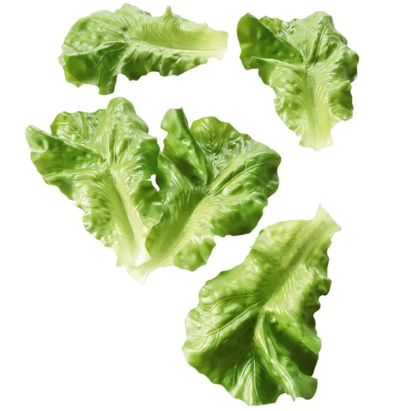 Gemüse & Kräuter^DecoWoerner Salatblätter Lebensmittel-Attrappe, Pack à 5 Stück grün
