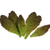 Gemüse & Kräuter^DecoWoerner Salatblätter -rot Lebensmittel-Attrappe, Pack à 6 Stück grün
