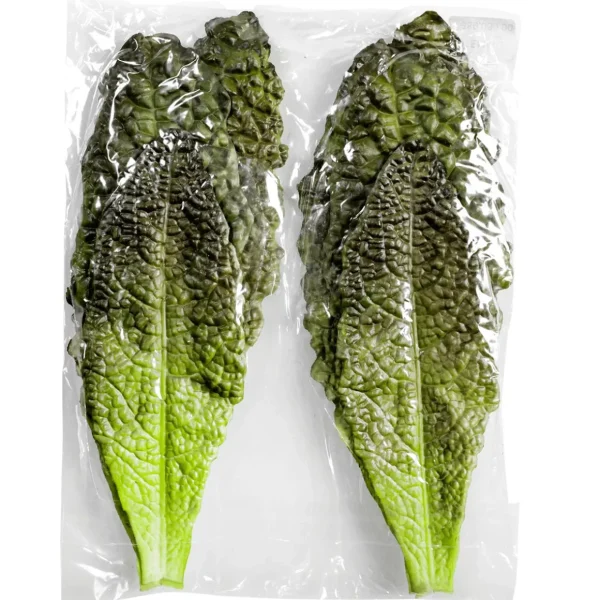 Gemüse & Kräuter^DecoWoerner Salatblätter -rot Lebensmittel-Attrappe, Pack à 6 Stück grün