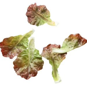 Gemüse & Kräuter^DecoWoerner Salatblätter Lebensmittel-Attrappe, Pack à 5 Stück braun