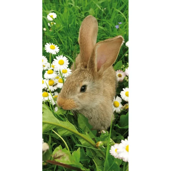 Osterdeko | Frühlingsbanner^DecoWoerner Schwer Entflammbarer Stoffbanner „Hase Zwischen Gänseblümchen“ Aus Fahnenstoff 100 X 200 Cm braun