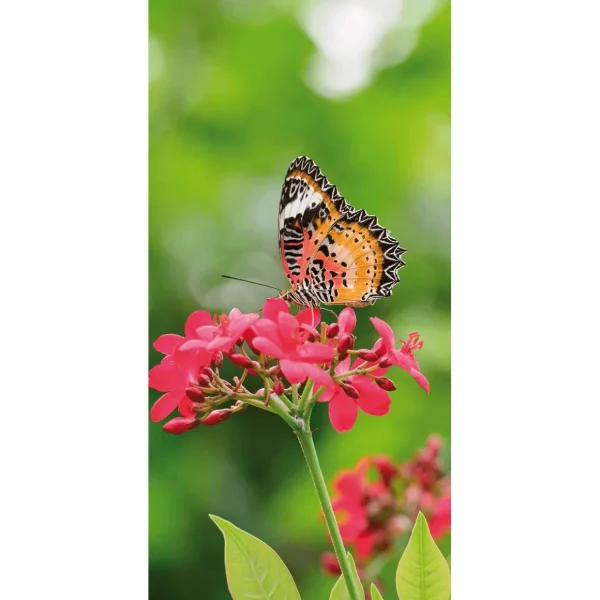 Sommerdeko | Frühlingsdeko^DecoWoerner Schwer Entflammbarer Stoffbanner „Schmetterling Auf er Blüte“ Aus Fahnenstoff 100 X 200 Cm rot