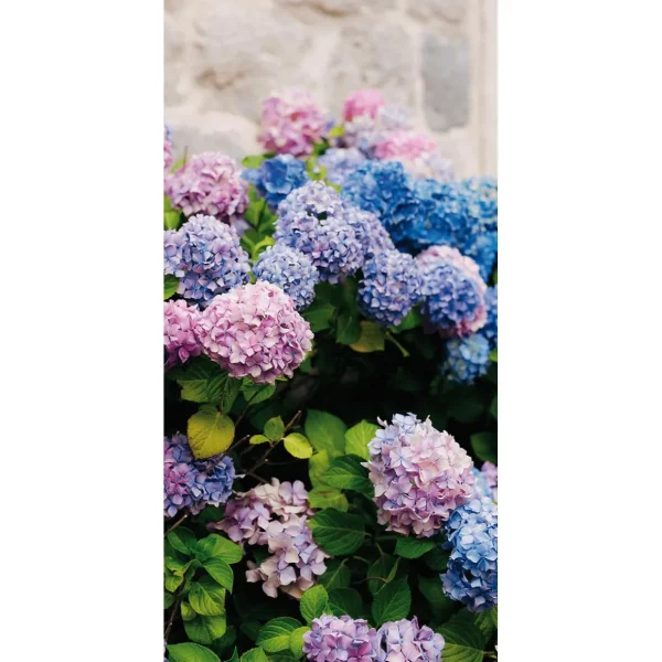 Sommerdeko | Frühlingsdeko^DecoWoerner Schwer Entflammbarer Stoffbanner „, Lila Und Blaue Hortensien“ Aus Fahnenstoff 100 X 200 Cm rosa
