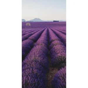 Sommerdeko | Sommer-Banner^DecoWoerner Schwer Entflammbarer Stoffbanner „Lavendelfeld In Der Provence“ Aus Fahnenstoff 100 X 200 Cm violett