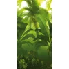 Sommerdeko | Sommer-Banner^DecoWoerner Schwer Entflammbarer Stoffbanner „Dschungel“ Aus Fahnenstoff 100 X 200 Cm grün