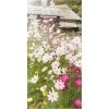 Sommerdeko | Frühlingsdeko^DecoWoerner Schwer Entflammbarer Stoffbanner "Blumenwiese" Aus Fahnenstoff 100 X 200 Cm rosa