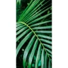 Sommerdeko | Themen-Banner^DecoWoerner Schwer Entflammbarer Stoffbanner "Palmwedel" Aus Fahnenstoff 100 X 200 Cm grün