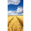 Sommerdeko | Herbst-Banner^DecoWoerner Schwer Entflammbarer Stoffbanner „goldenes Kornfeld Unter Blauem Himmel“ Aus Fahnenstoff 100 X 200 Cm gelb