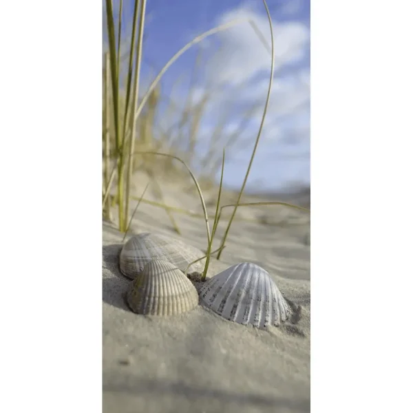 Sommer-Banner^DecoWoerner Schwer Entflammbarer Stoffbanner Muscheln Im Sand 100 X 200 Cm