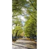 Herbstdeko | Sommerdeko^DecoWoerner Schwer Entflammbarer Stoffbanner „Allee Im Park“ Aus Fahnenstoff 100 X 200 Cm grün