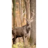 Herbstdeko | Herbst-Banner^DecoWoerner Schwer Entflammbarer Stoffbanner "Hirsch Im Wald" Aus Fahnenstoff 100 X 200 Cm braun