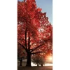 Herbstdeko | Herbst-Banner^DecoWoerner Schwer Entflammbarer Stoffbanner "er Herbstbaum" Aus Fahnenstoff 100 X 200 Cm rot